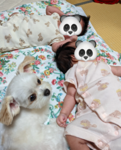 双子と愛犬